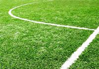 Спортивные газоны Спортивные газоны